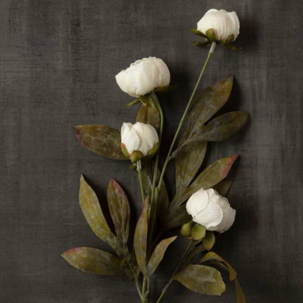 Set of TWO Michael’s Viral Peony Stems in Cream by Ashland®